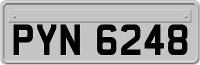 PYN6248