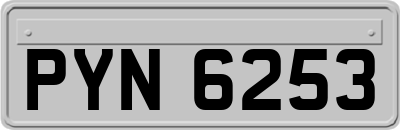 PYN6253