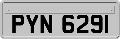 PYN6291