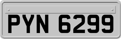 PYN6299