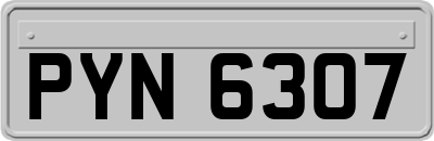 PYN6307