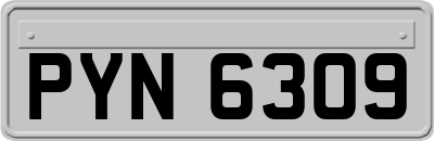 PYN6309