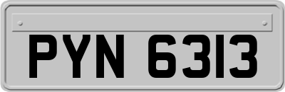 PYN6313