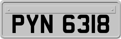 PYN6318