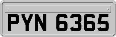 PYN6365