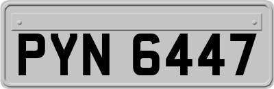 PYN6447