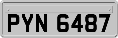 PYN6487