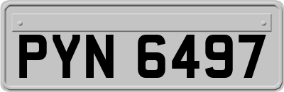 PYN6497