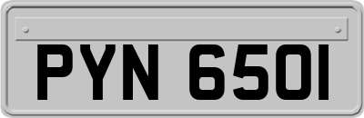 PYN6501