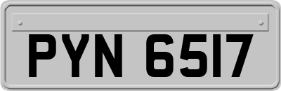 PYN6517