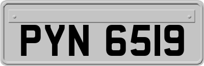 PYN6519