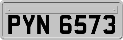 PYN6573