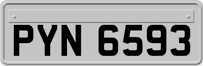 PYN6593