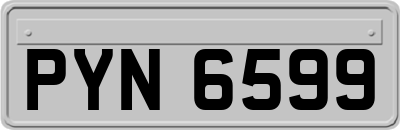 PYN6599