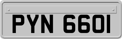 PYN6601