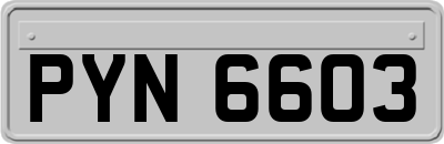 PYN6603