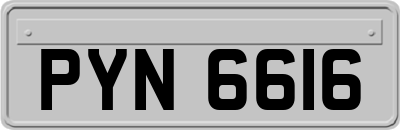 PYN6616