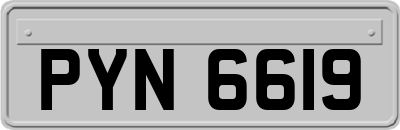 PYN6619