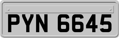 PYN6645