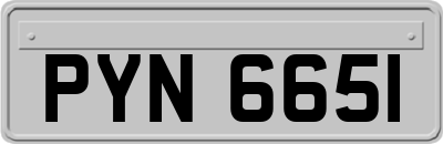 PYN6651