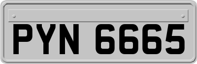 PYN6665