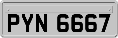 PYN6667