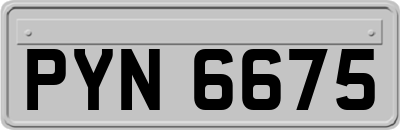 PYN6675