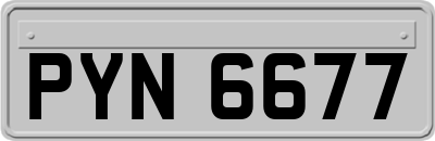 PYN6677