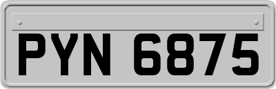 PYN6875