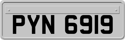 PYN6919