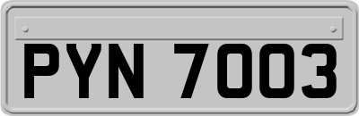 PYN7003