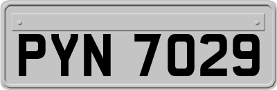 PYN7029