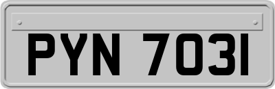 PYN7031