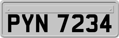 PYN7234