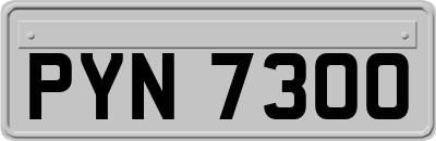 PYN7300