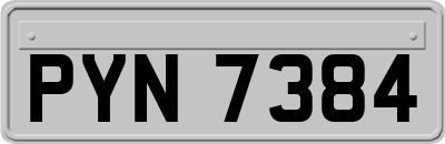 PYN7384