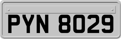 PYN8029