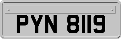 PYN8119