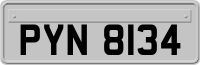 PYN8134