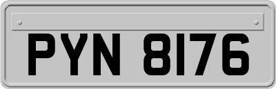 PYN8176