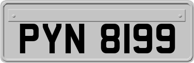 PYN8199