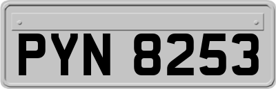 PYN8253