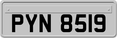 PYN8519