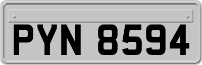 PYN8594