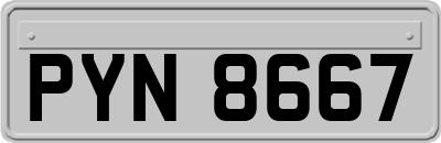 PYN8667