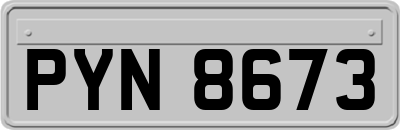 PYN8673