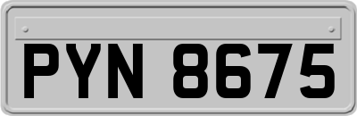 PYN8675