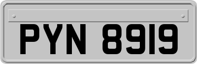 PYN8919