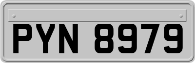 PYN8979