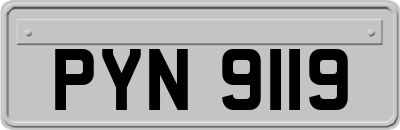 PYN9119